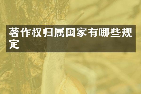 著作权归属国家有哪些规定