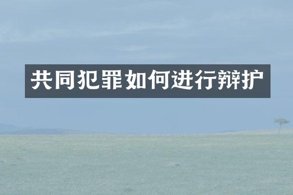 共同犯罪如何进行辩护