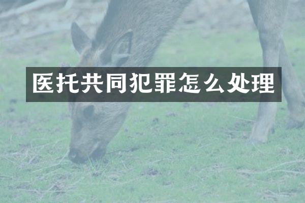 共同犯罪怎么处理