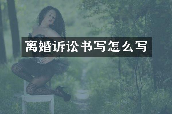 离婚诉讼书写怎么写