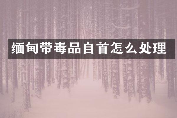 缅甸带自首怎么处理