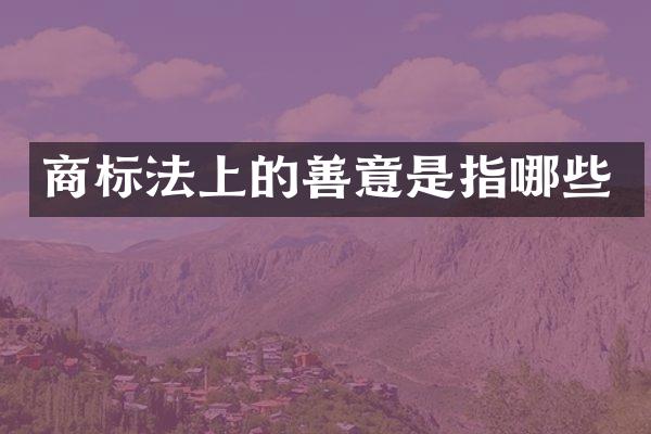 商标法上的善意是指哪些
