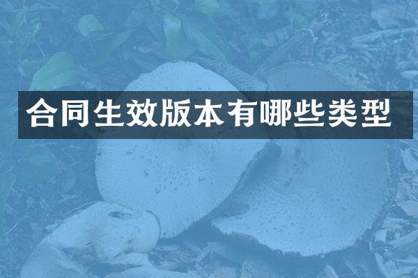 合同生效版本有哪些类型