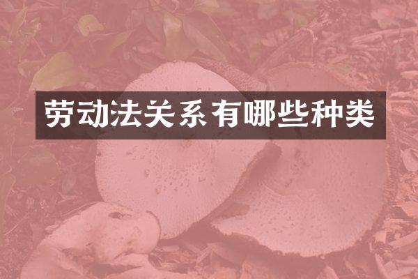 劳动法关系有哪些种类