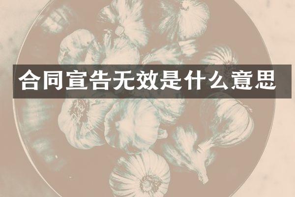 合同宣告无效是什么意思