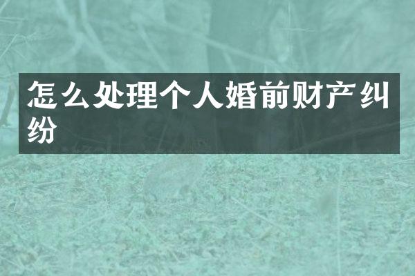 怎么处理个人婚前财产纠纷