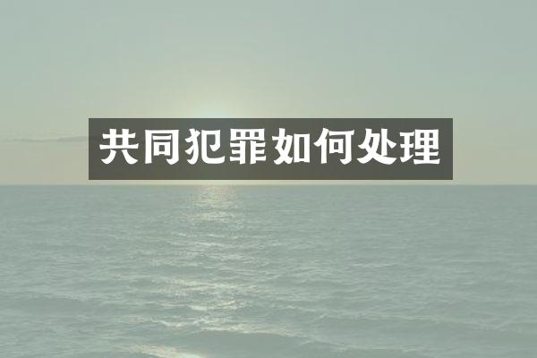 共同犯罪如何处理