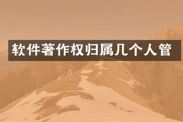 软件著作权归属几个人管