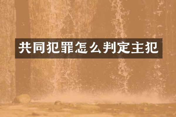 共同犯罪怎么判定