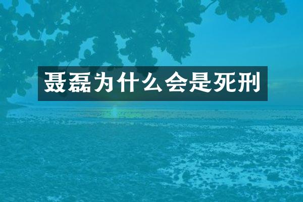 聂磊为什么会是死刑
