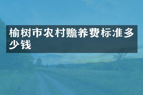 榆树市农村赡养费标准多少钱