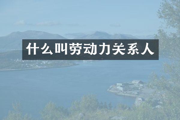 什么叫劳动力关系人