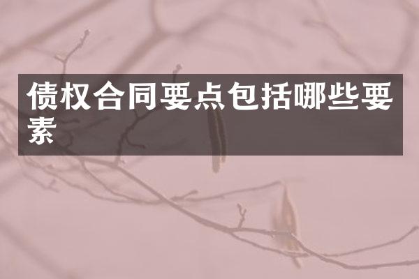 债权合同要点包括哪些要素