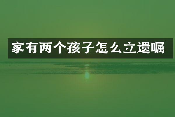 家有两个孩子怎么立遗嘱