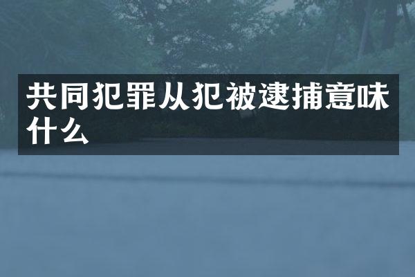 共同犯罪从犯捕意味什么