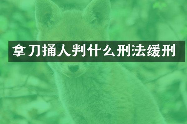 拿刀捅人判什么刑法缓刑