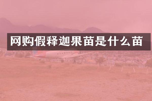 网购假释迦果苗是什么苗