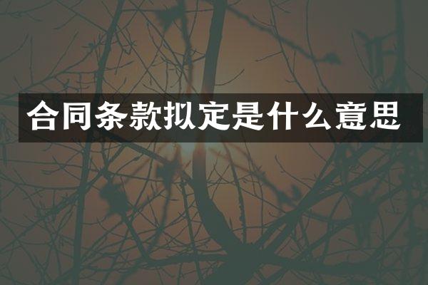 合同条款拟定是什么意思