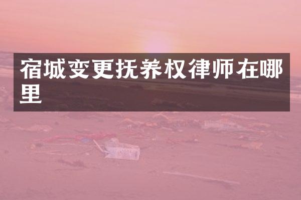 宿城变更抚养权律师在哪里