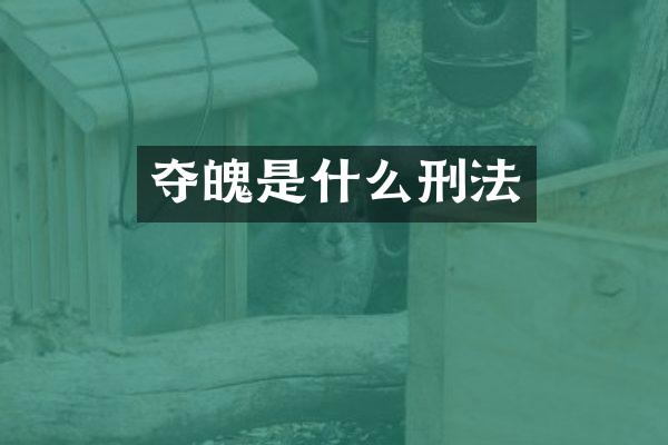 夺魄是什么刑法