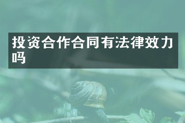 投资合作合同有法律效力吗