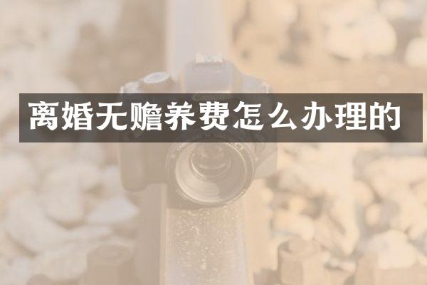 离婚无赡养费怎么办理的