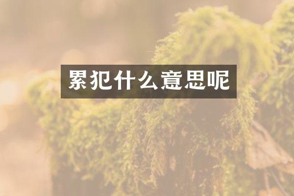 什么意思呢