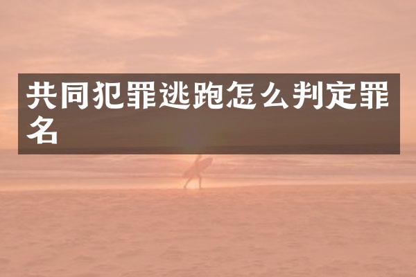 共同犯罪逃跑怎么判定罪名