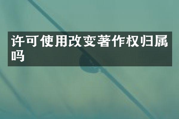 许可使用改变著作权归属吗