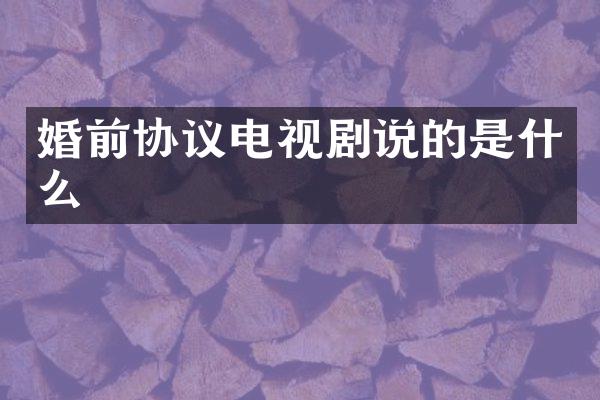 婚前协议电视剧说的是什么