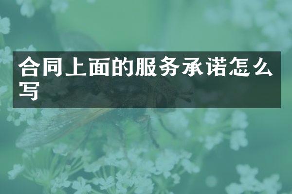 合同上面的服务承诺怎么写
