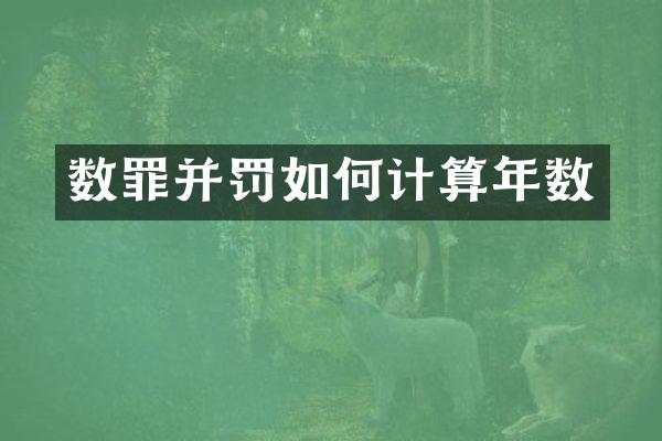 数罪并罚如何计算年数