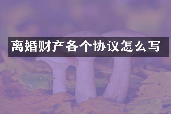 离婚财产各个协议怎么写