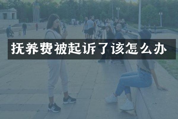 抚养费被起诉了该怎么办