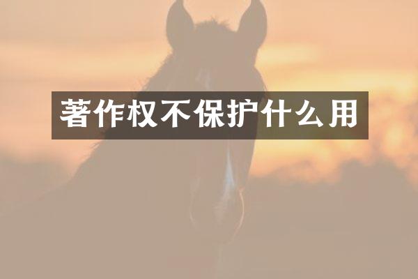 著作权不保护什么用