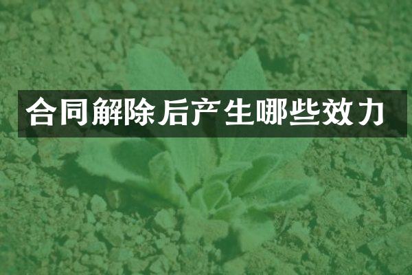 合同解除后产生哪些效力