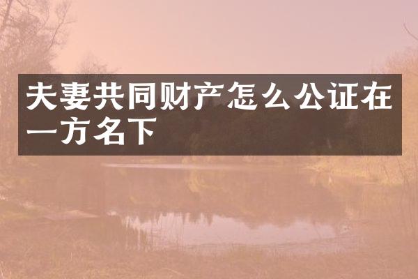 夫妻共同财产怎么公证在一方名下