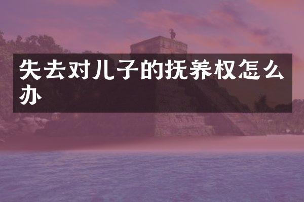 失去对儿子的抚养权怎么办