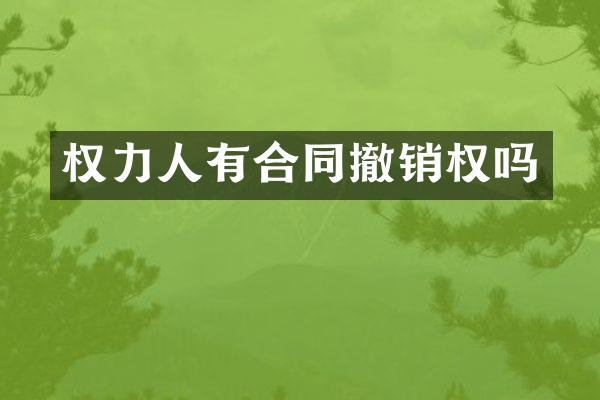 权力人有合同撤销权吗