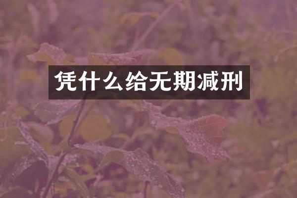 凭什么给无期减刑