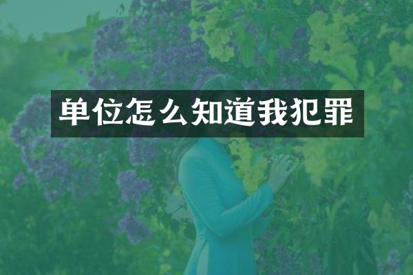 单位怎么知道我犯罪