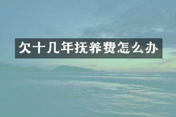 欠十几年抚养费怎么办