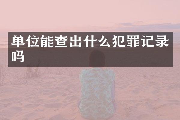 单位能查出什么犯罪记录吗