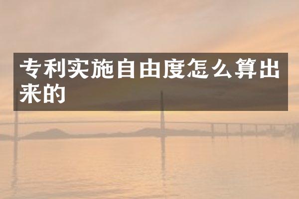 专利实施自由度怎么算出来的