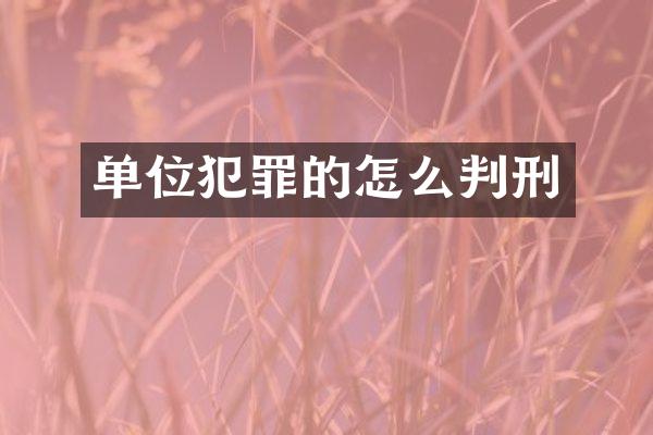 单位犯罪的怎么判刑