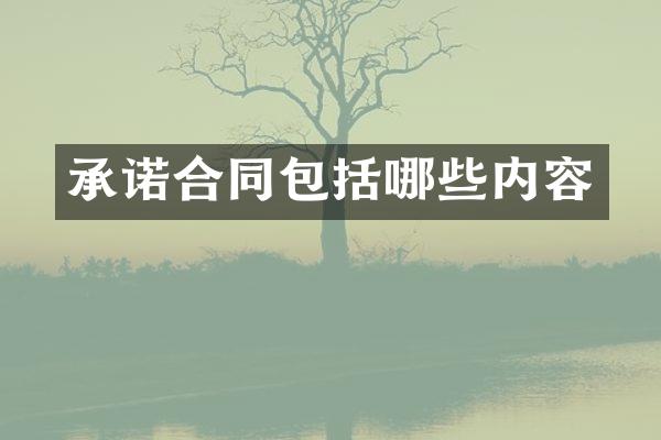 承诺合同包括哪些内容