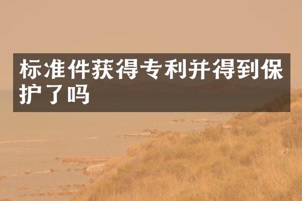 标准件获得专利并得到保护了吗