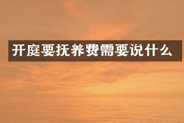 开庭要抚养费需要说什么