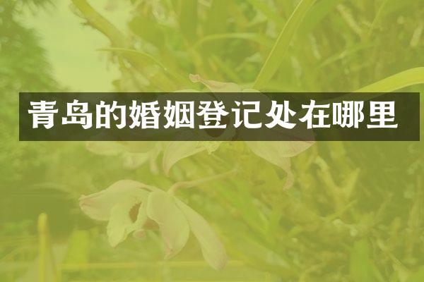 青岛的婚姻登记处在哪里