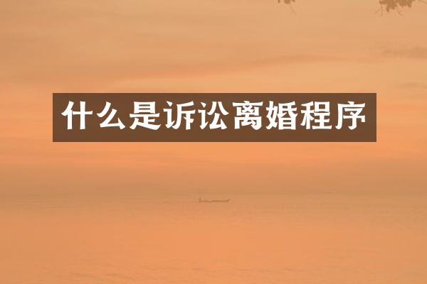 什么是诉讼离婚程序